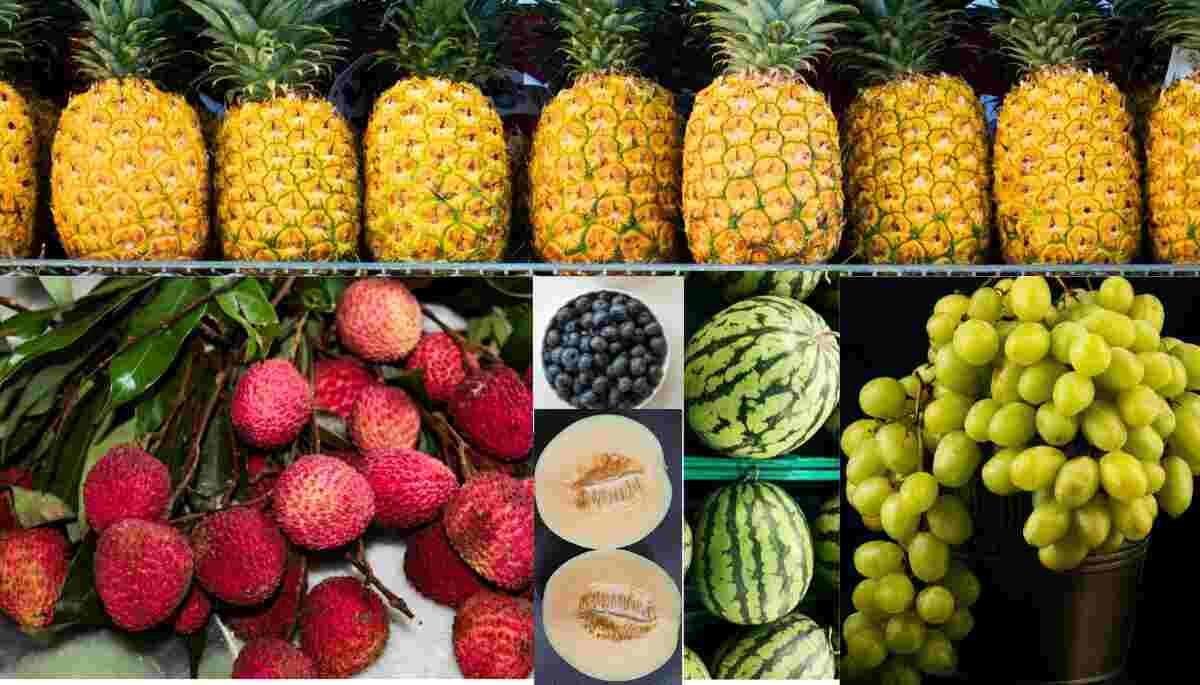 These fruits eat in summer