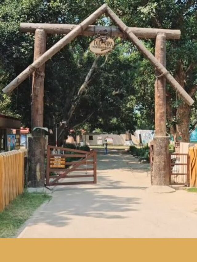 Dudhwa National Park Lakhimpur Khiri